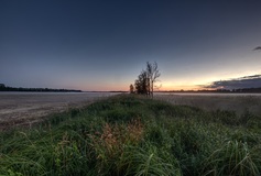 Morgens in den Rögnitzwiesen.(01.07.2018)