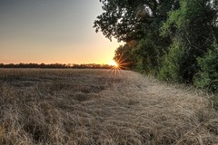 Abendstimmung im Mühlenweg von Lübtheen.(08.07.2018)