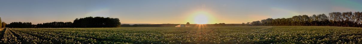 Ein Kartoffelfeld mit Regner.(30.06.2018)