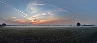 Wieder einen schönen Moment festgehalten.( 19.08.2018)