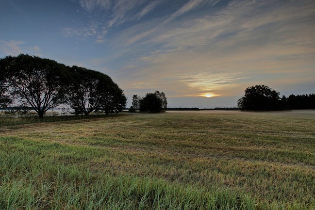 landschaft-ji-kopie.jpg