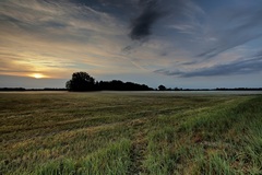 Ein Morgen nähe Lübtheen.(04.09.2018)