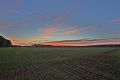 Zwischen Lübtheen und Neu-Lübtheen.(20.09.2018)