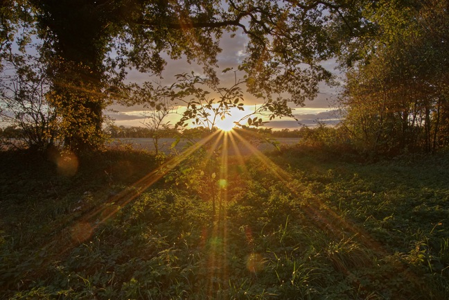 sonne-kopie-ji-kopie.jpg