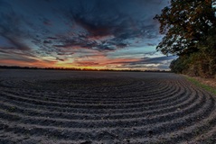 Dieses Foto entstand zu bester Sendezeit.Der eine zieht sich eine Sendung rein.Der andere steht in der Natur.(08.10.2018)