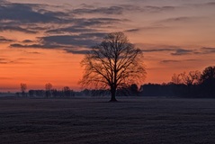 Ein Morgen nähe Lübtheen. (28.11.2018 )