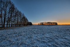 Nähe Neu Lübtheen.(18.01.2019). -5 Grad