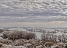 Vier bei Boizenburg (21.01.2019 )