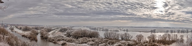 Vier bei Boizenburg (21.01.2019 )