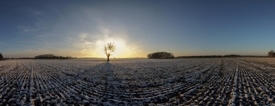 Nähe Briest (19.01.2019 )
