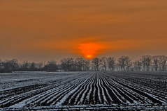 Der Preisteracker am ( 23.01.2019 )