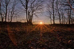 Im Mühlenweg von Lübtheen ( 03.02.2019)