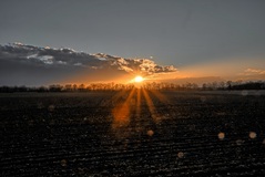 Der Preisteracker am Abend.(09.02.2019)