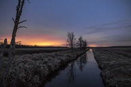 Nähe Lübtheen am Morgen.(10.02.2019)