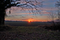 Der Preisteracker am Abend ( 31.01.2019 )