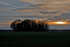 Nähe Briest am Abend.(12.02.2019)