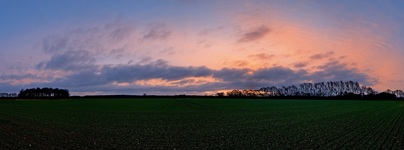 Nähe Neu-Lübtheen am Morgen ( 03.2019 )