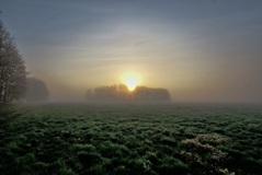 Morgens nähe Neu-Lübtheen.