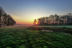 Ein Morgen nähe Neu-Lübtheen ( 07.04.2019 )