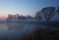 Eine Blaue Stunde in den Rögnitzwiesen.( 07.04.2019 )