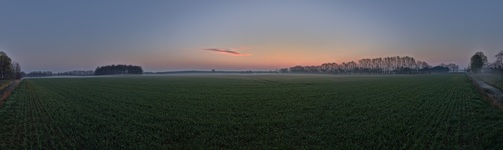 Nähe Neu-Lübtheen. ( 07.04.2019 ).