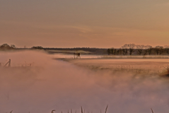 Kein Statusfoto-Kein Mäusekinofoto.Auch nicht über den Wolken.Heute Morgen in den Rögnitzwiesen.(25.04.2019)