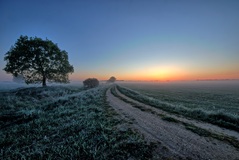 Heute ist nicht der (05.05.1981)sondern (2019)Wir haben es jedenfalls noch bis Heute zusammen geschaft.Und einfach weiter so.Auf noch viele gemeinsame Jahre.Die Schöpfer der Fotos.