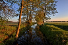 Ein Morgen nähe Lübtheen.Für uns ein besonderer Tag. (05.05.2019)