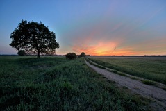 Ein Vatertag am Morgen.Nein Familientag.Oder?(30.05.2019)