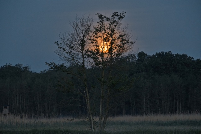 mond-kopie.jpg