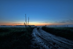 Eine Blaue Stunde in den Rögnitzwiesen.(16.06.2019)