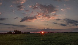 Morgens in den Rögnitzwiesen. ( 23.06.2018 )