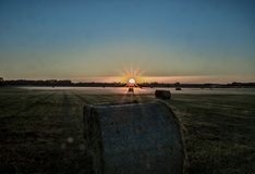 Morgens in den Rögnitzwiesen.(30.06.2019)