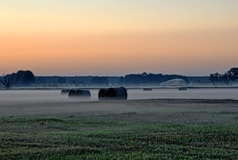 Ein Morgen im Rögnitztal. ( 30.06.2019 )