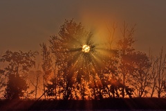 Ein Morgen Nähe Neu-Lübtheen (21.07.2019 ) Ein Foto ist Licht und Zeit