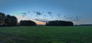 Nähe Neulübtheen. ( 07.2019 )