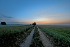 In den Rögnitzwiesen. ( 07.2019 )