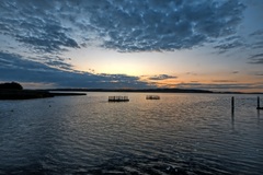 Am Kummerower See am Abend. (21.08.2019 )