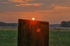 Gegenlicht Pur.Nähe Lübtheen.(28.08.2019)