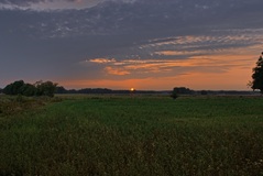 Ein Morgen nähe Lübtheen.(28.08.2019)