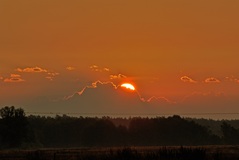 Ein Morgen nähe Lübtheen. ( 09.2019 )