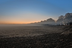 Der erste Frost im Oktober 2019 nähe Lübtheen.