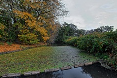 Die Schleuse bei Brömsenberg. (19.10.2019)