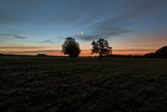 Immer ein schöner Fotoort nähe Lübtheen.( 26.10.2019 )