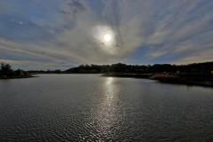 Die Elbe bei Hitzacker. ( 27.10.2019 )