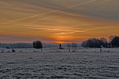 Am Morgen nähe Lübtheen bei - 7 Grad. ( 31.10.2019 )