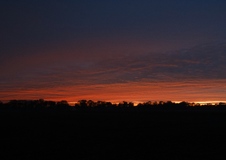 Der Preisteracker am Abend. ( 08.11.2019 )