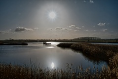 Die Elbkuhlen bei Bohnenburg. ( 19.01.2020 )