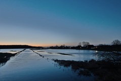 Auf eine Brücke in Rosien bei Neuhaus. ( 01.03.2020 )