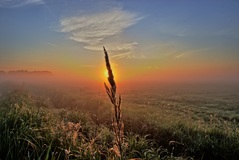 Ein Morgen im Rögnitztal ( 10.05.2020 )